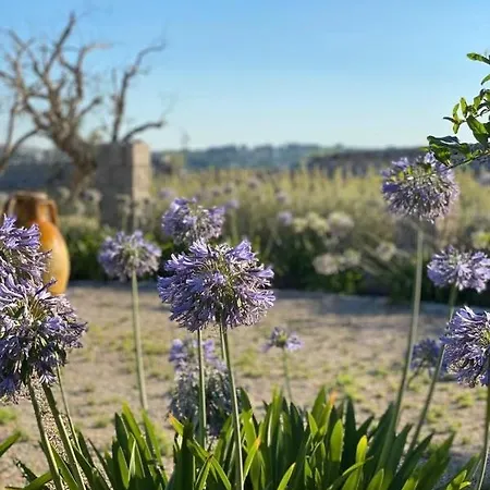 Bauernhof Masseria Pavone Martina Franca